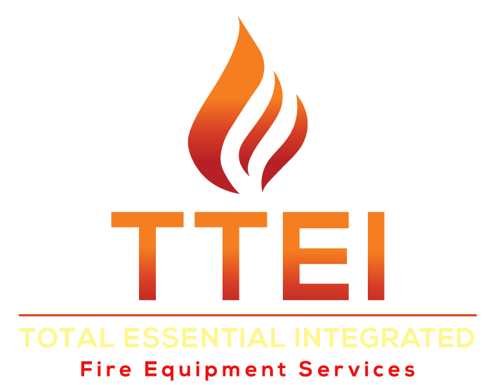 TTEI-2-without-padding-2